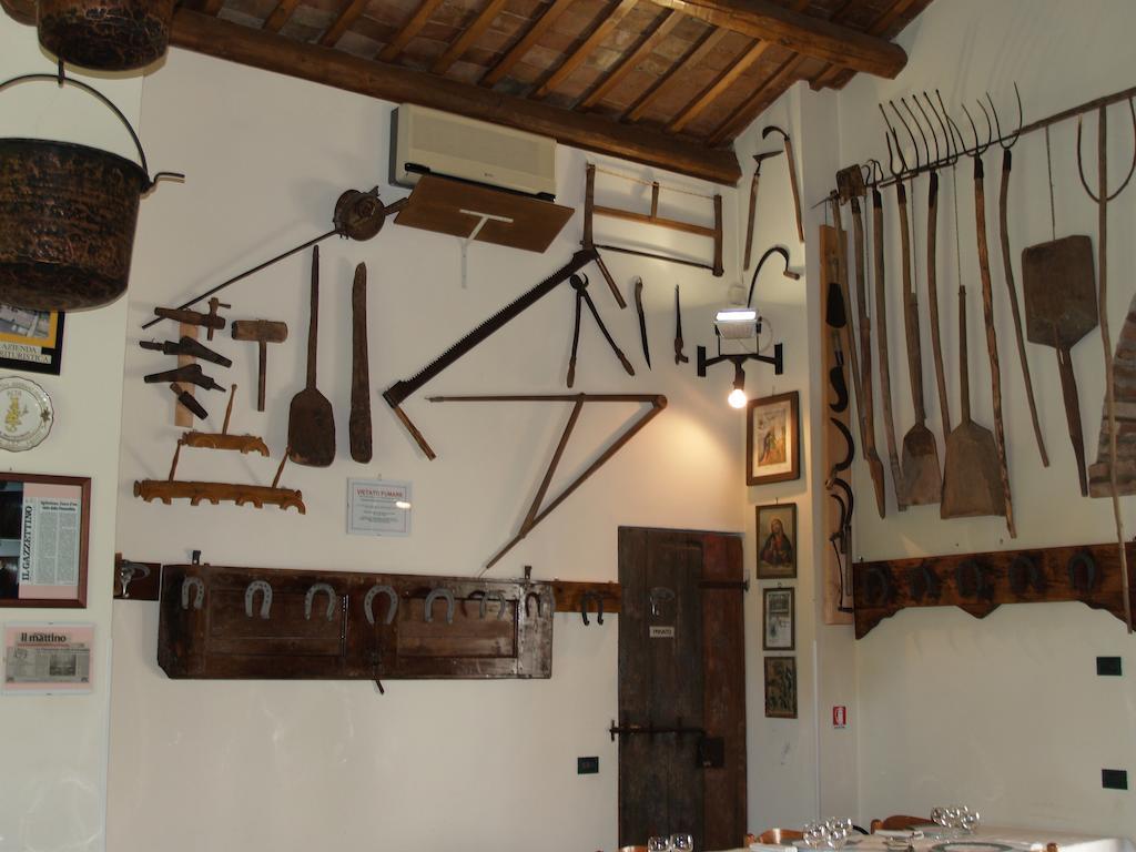 Agriturismo Le Clementine Badia Polesine Экстерьер фото